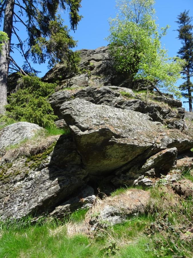Ferienappartement Gutshof Hohenwarth Exteriör bild